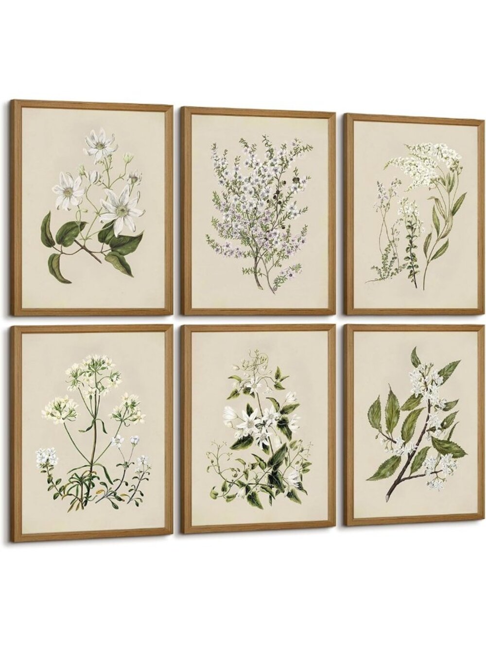 Vintage Botanical Wall Art Set of 6 | Neutral Floral Canvas Prints | Minimalist